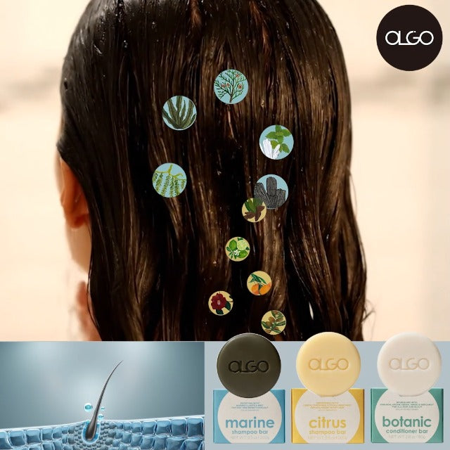 OLGO Botanic Conditioner Bar 2.8oz - Vegan, Sulfate-Free, Silicone-Free | Sustainable | Nourishing Argan, Jojoba, Shea Butter & Bergamot for Shiny, Healthy Hair