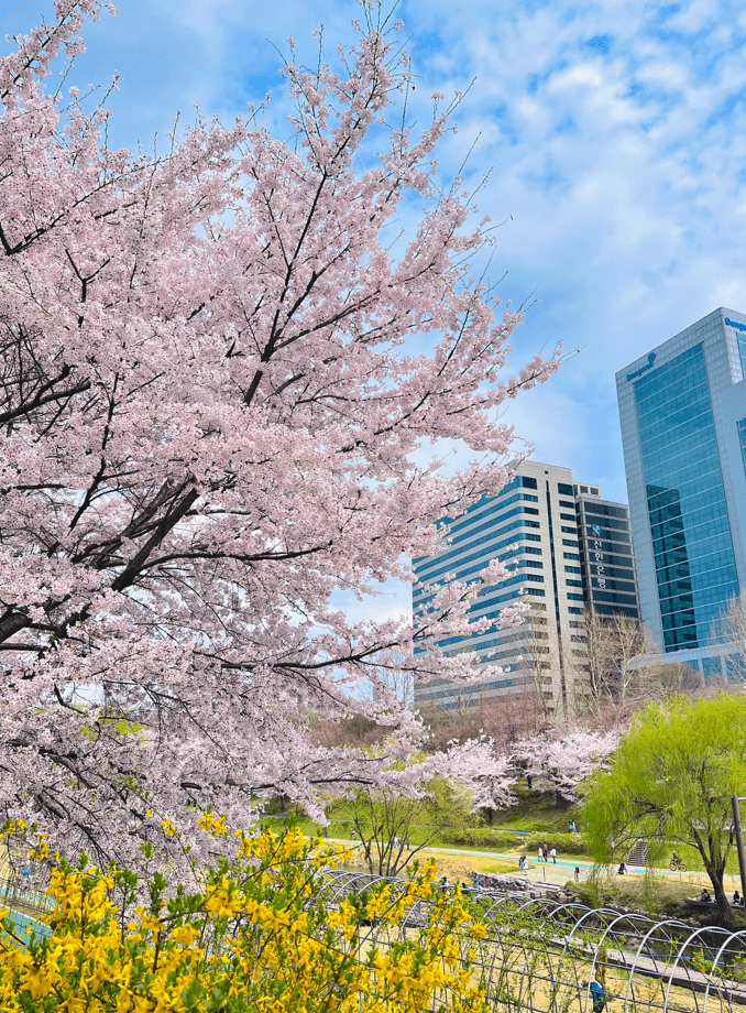 The First Welcome Faces to Appear