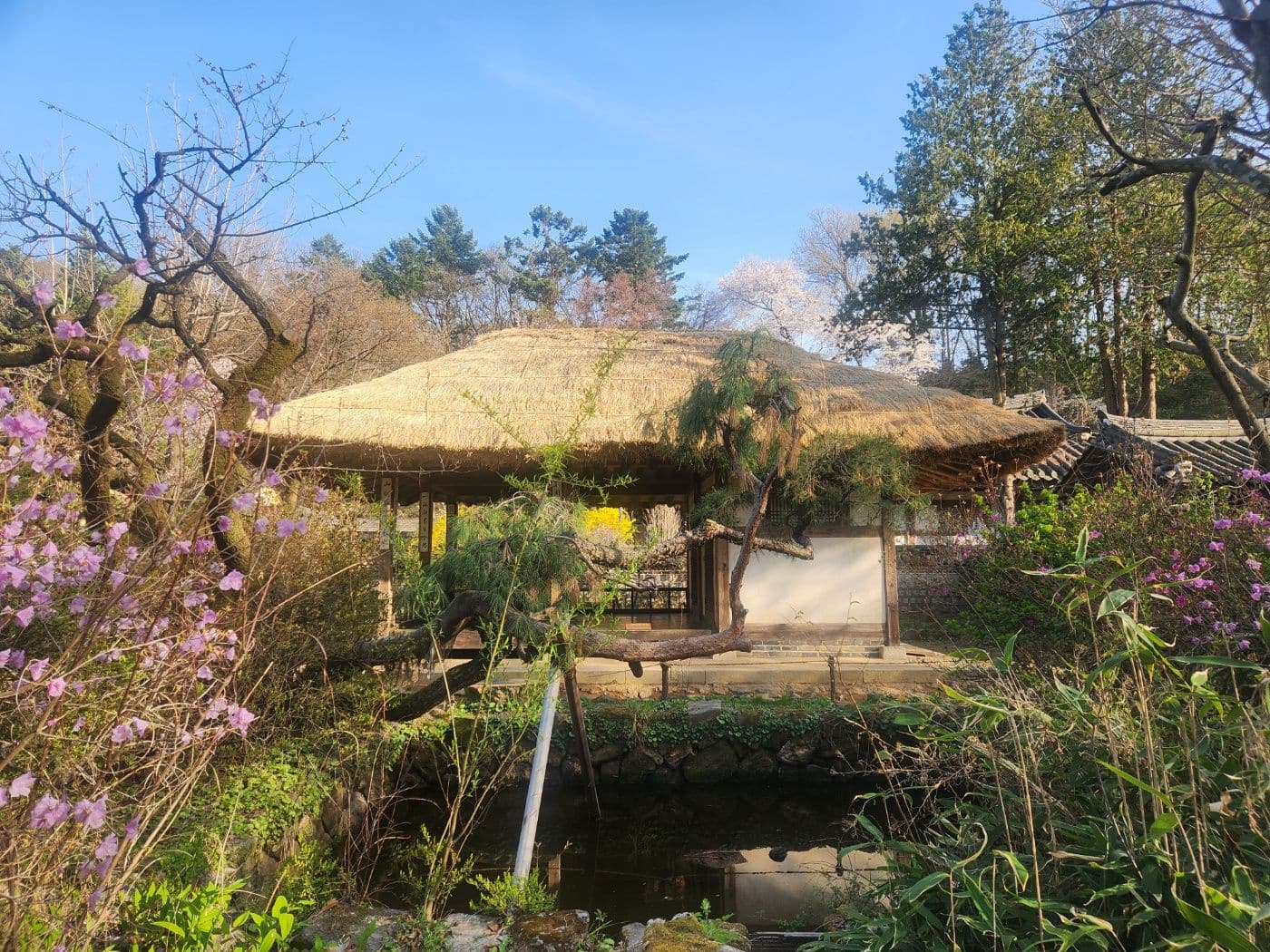 A Perfect Spring Weekend in Korea: Strolling Through the Korean Folk Village