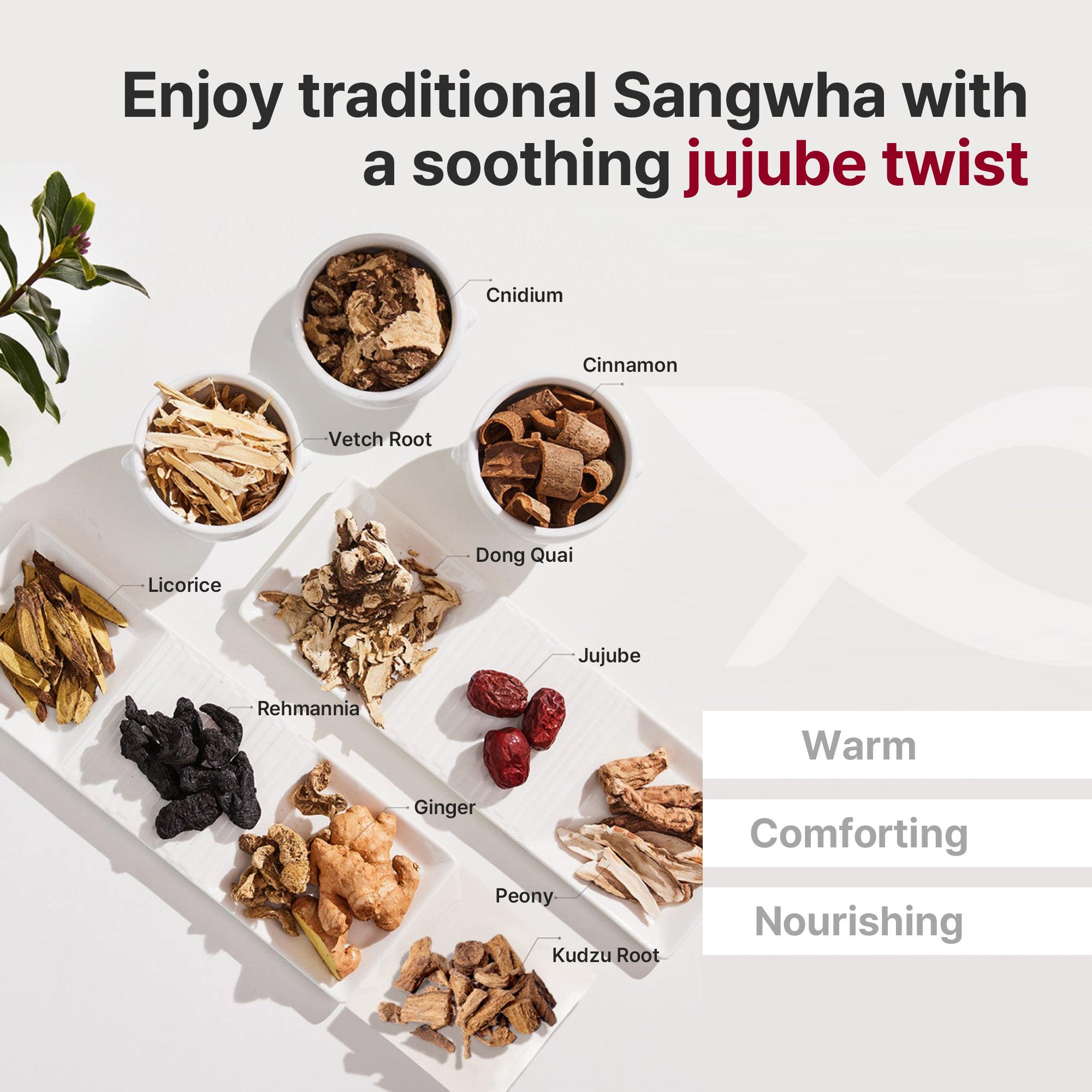 Kwangdong Ssang Hwa Jin - Jujube 100ml * 10 packs