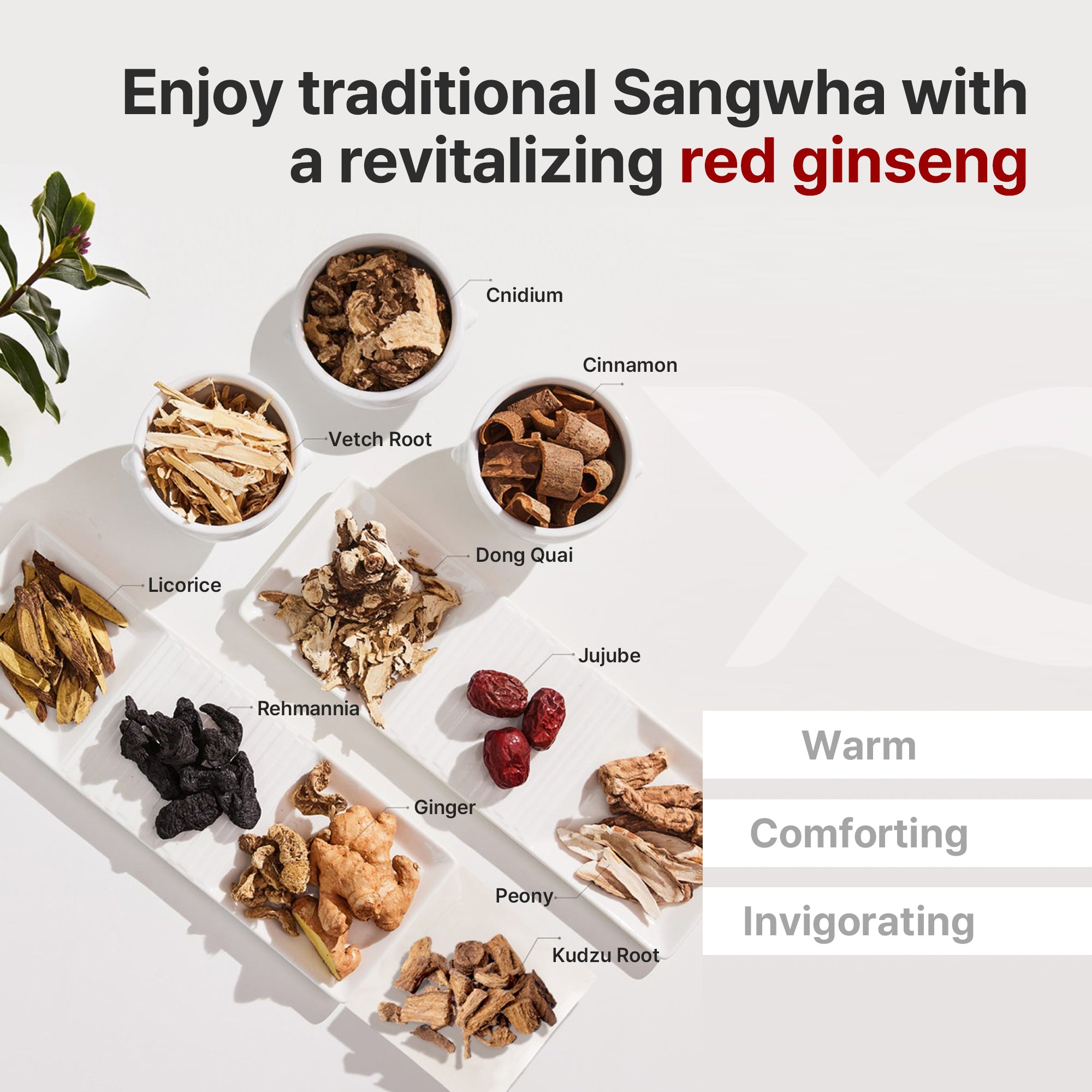 Kwangdong Ssang Hwa Jin - Red Ginseng 100ml * 10packs