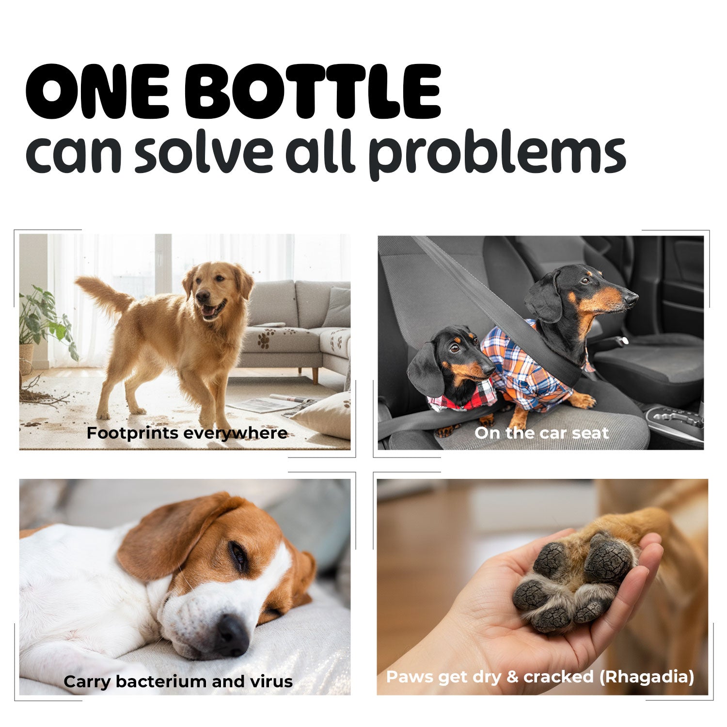 Wanspapa Dog Paw Cleaner | Gentle Pure Soap-Based Rinse-Off Paw Washer for Sensitive Paws | Natural Plant-Based & Residue-Free Formula | Safe for All Dogs, Puppies | Made in Korea | 5.072 oz / 150ml