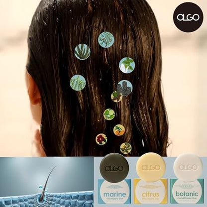 OLGO Marine Shampoo Bar 3.5 oz | Soap-Free Solid Shampoo Bar for Scalp with Cooling | Kelp, Sea Grape, Charcoal with Biotin | Sustainable & Clean- No Sulfates, No Parabens, No Phthalates
