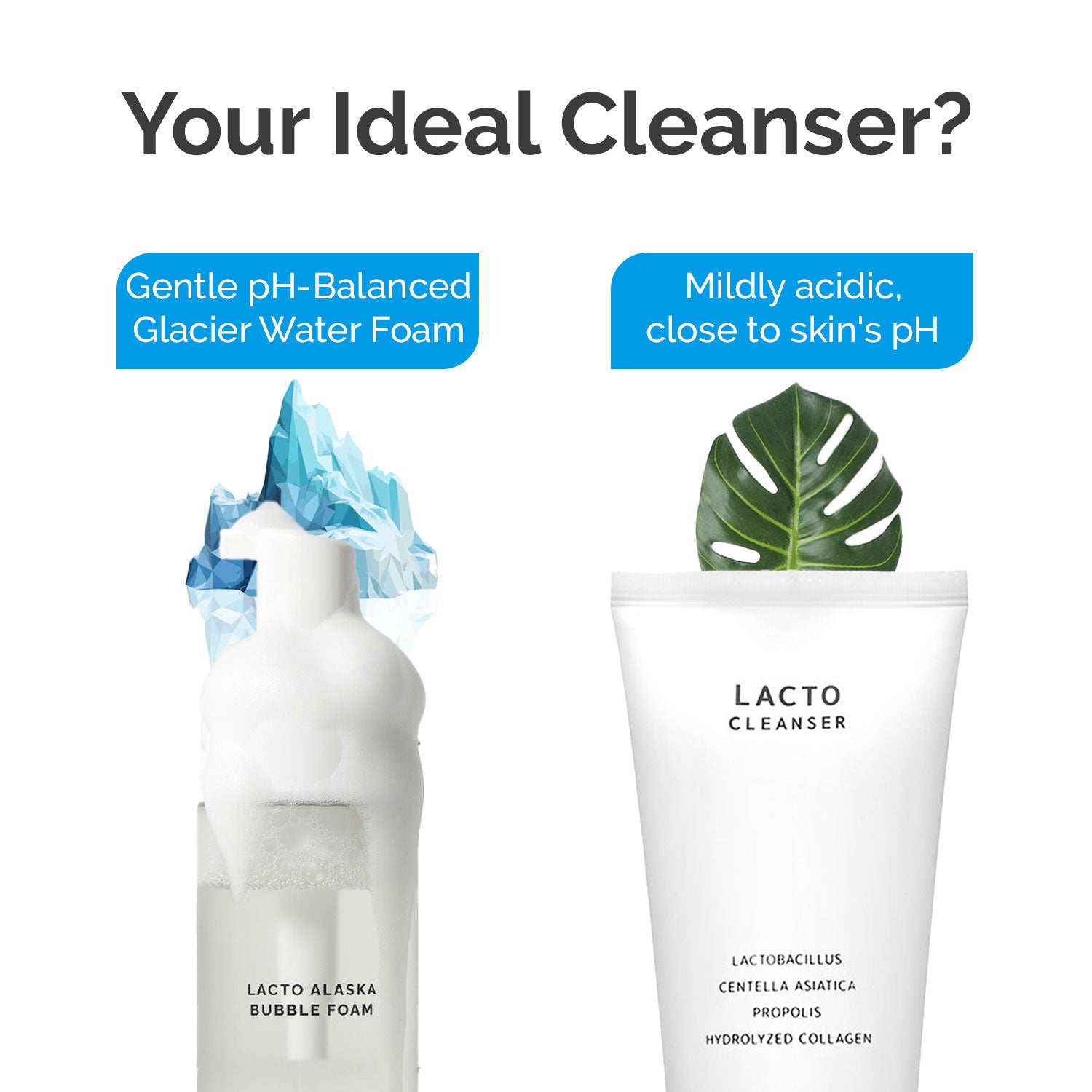 BENETUS Lacto Alaska Bubble Foam, Facial Cleanser, Face Wash, Moisture Balance, for Sensitive Skin Korean Skincare 200ml